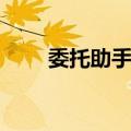 委托助手法（关于委托助手法简介）