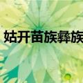 姑开苗族彝族乡（关于姑开苗族彝族乡简介）