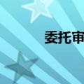委托审计（关于委托审计简介）