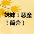 妹妹！恶魔！与我！（关于妹妹！恶魔！与我！简介）