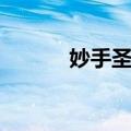 妙手圣医（关于妙手圣医简介）