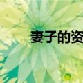 妻子的资格（关于妻子的资格简介）