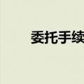 委托手续费（关于委托手续费简介）