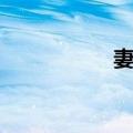妻亲（关于妻亲简介）