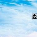 委比（关于委比简介）