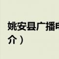 姚安县广播电视志（关于姚安县广播电视志简介）