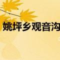 姚坪乡观音沟村（关于姚坪乡观音沟村简介）