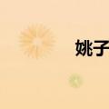 姚子奇（关于姚子奇简介）