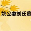 姚公妻刘氏墓志（关于姚公妻刘氏墓志简介）