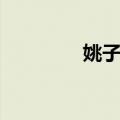 姚子青（关于姚子青简介）