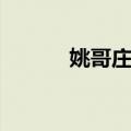 姚哥庄站（关于姚哥庄站简介）