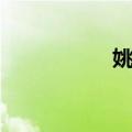 姚强（关于姚强简介）