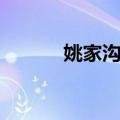 姚家沟村（关于姚家沟村简介）