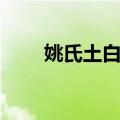 姚氏土白蚁（关于姚氏土白蚁简介）