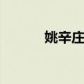 姚辛庄村（关于姚辛庄村简介）