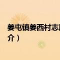姜屯镇姜西村志愿服务队（关于姜屯镇姜西村志愿服务队简介）