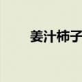 姜汁柿子饼（关于姜汁柿子饼简介）