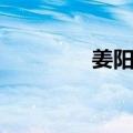 姜阳村（关于姜阳村简介）