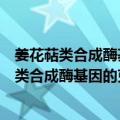 姜花萜类合成酶基因的克隆、表达及代谢调控（关于姜花萜类合成酶基因的克隆、表达及代谢调控简介）