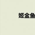 姬金鱼草（关于姬金鱼草简介）