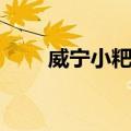 威宁小粑粑（关于威宁小粑粑简介）
