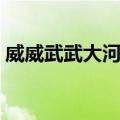 威威武武大河南（关于威威武武大河南简介）