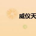 威仪天下（关于威仪天下简介）