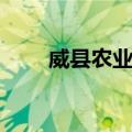 威县农业局（关于威县农业局简介）