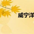 威宁洋芋（关于威宁洋芋简介）