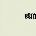 威伯科（关于威伯科简介）