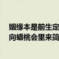 姻缘本是前生定 曾向蟠桃会里来（关于姻缘本是前生定 曾向蟠桃会里来简介）