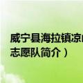 威宁县海拉镇凉山小学志愿队（关于威宁县海拉镇凉山小学志愿队简介）