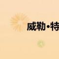 威勒·特耶（关于威勒·特耶简介）