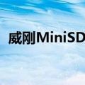 威刚MiniSD卡（关于威刚MiniSD卡简介）