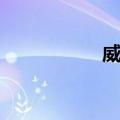 威夷（关于威夷简介）