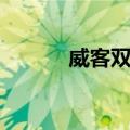 威客双熊（关于威客双熊简介）