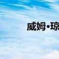 威姆·琼克（关于威姆·琼克简介）
