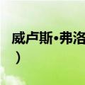 威卢斯·弗洛伦特（关于威卢斯·弗洛伦特简介）