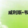 威利斯·韦阿（关于威利斯·韦阿简介）