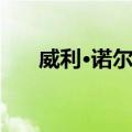 威利·诺尔斯（关于威利·诺尔斯简介）