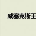威塞克斯王朝（关于威塞克斯王朝简介）