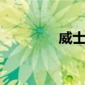 威士拿（关于威士拿简介）