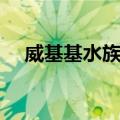 威基基水族馆（关于威基基水族馆简介）