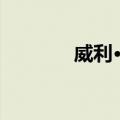 威利·扬（关于威利·扬简介）
