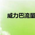 威力巴流量计（关于威力巴流量计简介）