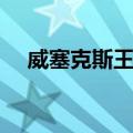 威塞克斯王国（关于威塞克斯王国简介）
