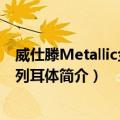 威仕滕Metallic金属系列耳体（关于威仕滕Metallic金属系列耳体简介）