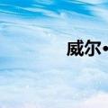 威尔·芬（关于威尔·芬简介）