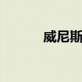 威尼斯语（关于威尼斯语简介）