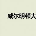 威尔明顿大学（关于威尔明顿大学简介）